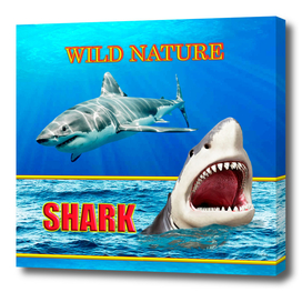 WILD NATURE SHARK