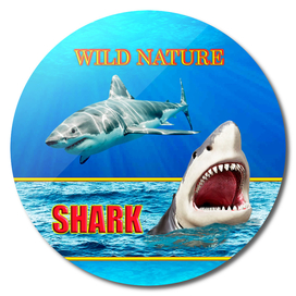 WILD NATURE SHARK