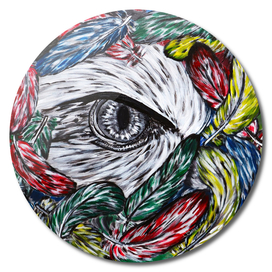 "Eagle's eye" color version