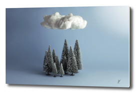 A cloud over the forest.