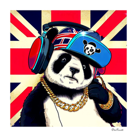 Panda Bear I Am a DJ 4