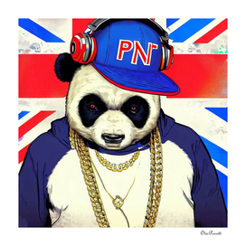 Panda Bear I Am a DJ