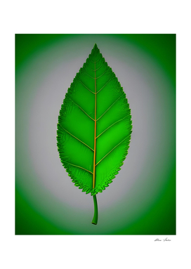 Cute Green Leaf Nature Botanical Style Art Minimalist Poster