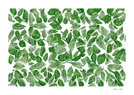 Beautiful Green Leaves Floral Pattern Botanical Style Design