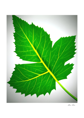 Green Leaf Nature Botanical Style Poster