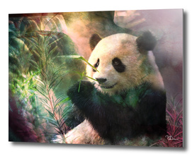 Sanctuaire du grand panda