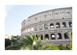Colosseum in Rome with Palm #3 #travel #wall #art