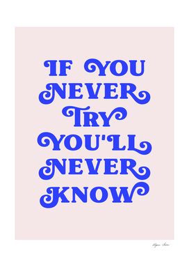 If you never try you'll never know (blue and pink tone)