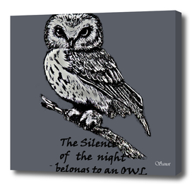The silence of the night belongs to an owl