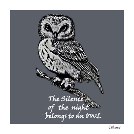 The silence of the night belongs to an owl&white