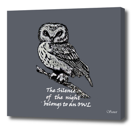 The silence of the night belongs to an owl&white