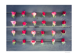 pink and red roses on the wooden table