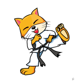 karate cat cartoon funny