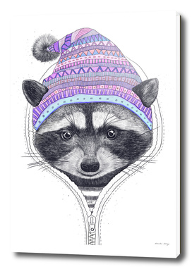 The raccoon in a hood