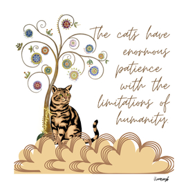 Cats have enormous patience