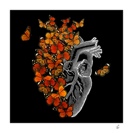 Monarch Butterfly Heart