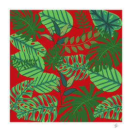 leaves leaf nature pattern red green