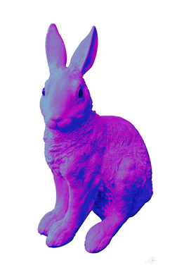 Duotone vaporwave hare | vintage aesthetic