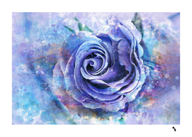 watercolor rose flower romantic