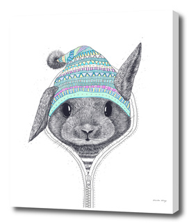 The rabbit in a hood