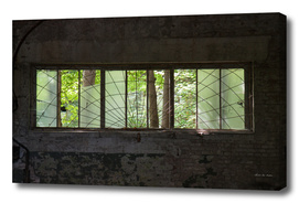 Berlin abandoned, window