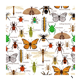 insects seamless pattern