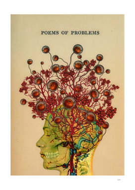 poems of problems