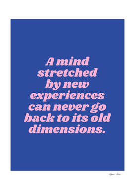 A mind stretched by new experiences quote