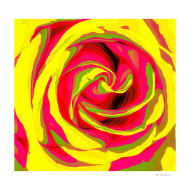 red and yellow rose abstract background