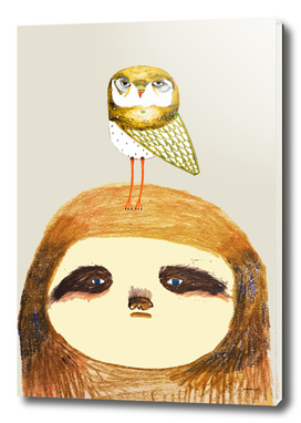 sloth and owl
