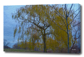 A weeping willow in fall