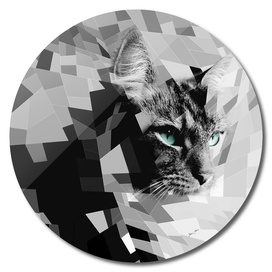 Black & white geometric cat