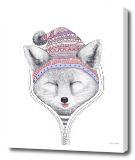 The Fox in a hood