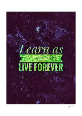 Learn as if you'll live forever