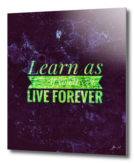 Learn as if you'll live forever