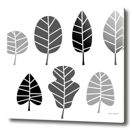 Black grey leaves on white : New design