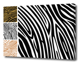 New safari Zebra art : black and white 70s