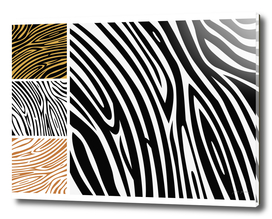 New safari Zebra art : black and white 70s