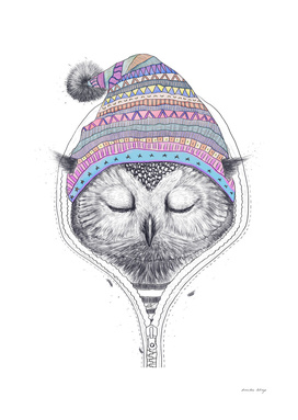 The Owl in a hood