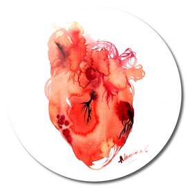 Red Anatomical Heart