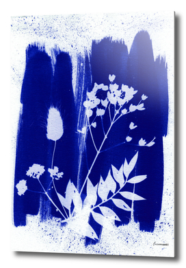 Dark blue dried flowers