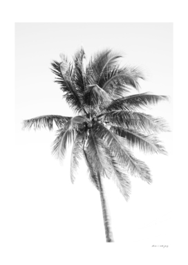 Palm Tree Beach Dream #5 #wall #art