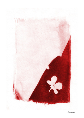 Lone Red Flower