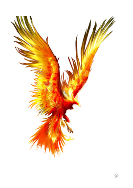phoenix firebird tattoo mythology fireworks