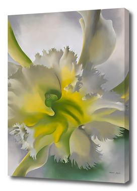 Georgia O'Keeffe - An Orchid. 1941