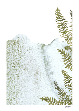 Ferns on stone