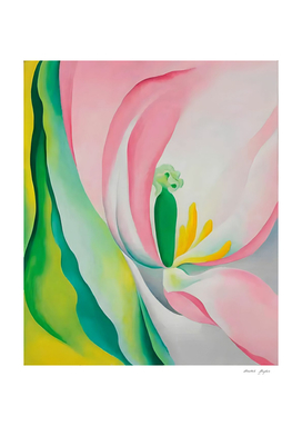 Georgia O'Keeffe-  Pink Tulipe