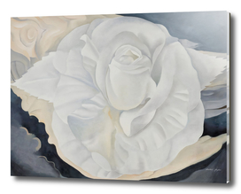 Georgia O'Keeffe -  White Calico Rose
