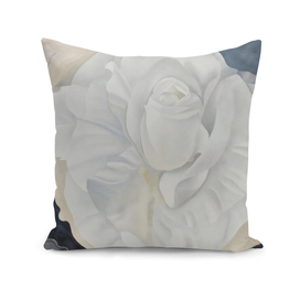 Georgia O'Keeffe -  White Calico Rose