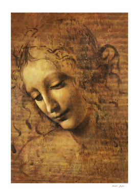 Leonardo da Vinci , Head Of A Young Woman With Tousled Hair